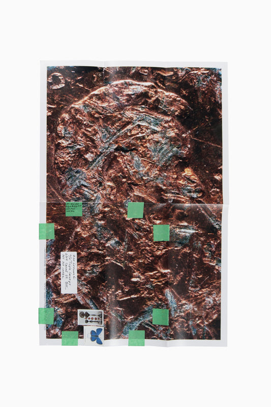 Copperhead No. 404, 1990/2025 by Moyra Davey