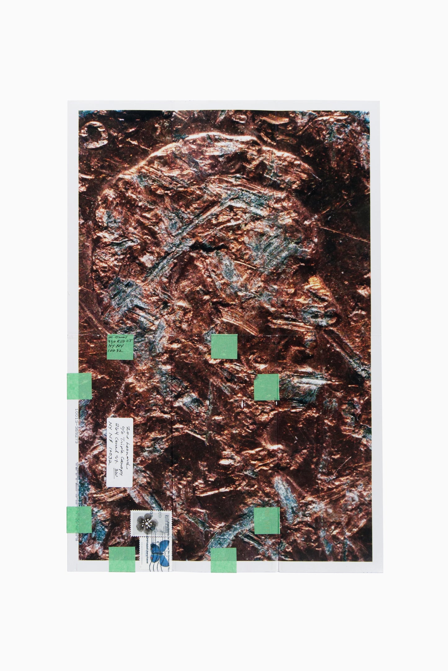 Copperhead No. 404, 1990/2025 by Moyra Davey