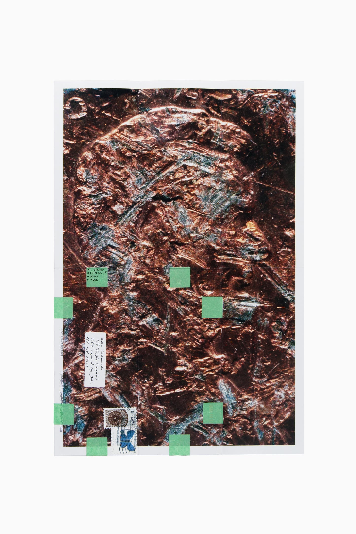 Copperhead No. 404, 1990/2025 by Moyra Davey