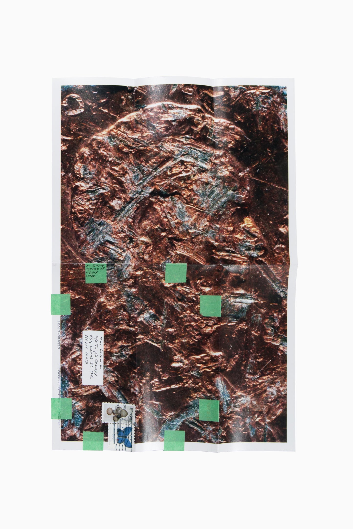 Copperhead No. 404, 1990/2025 by Moyra Davey