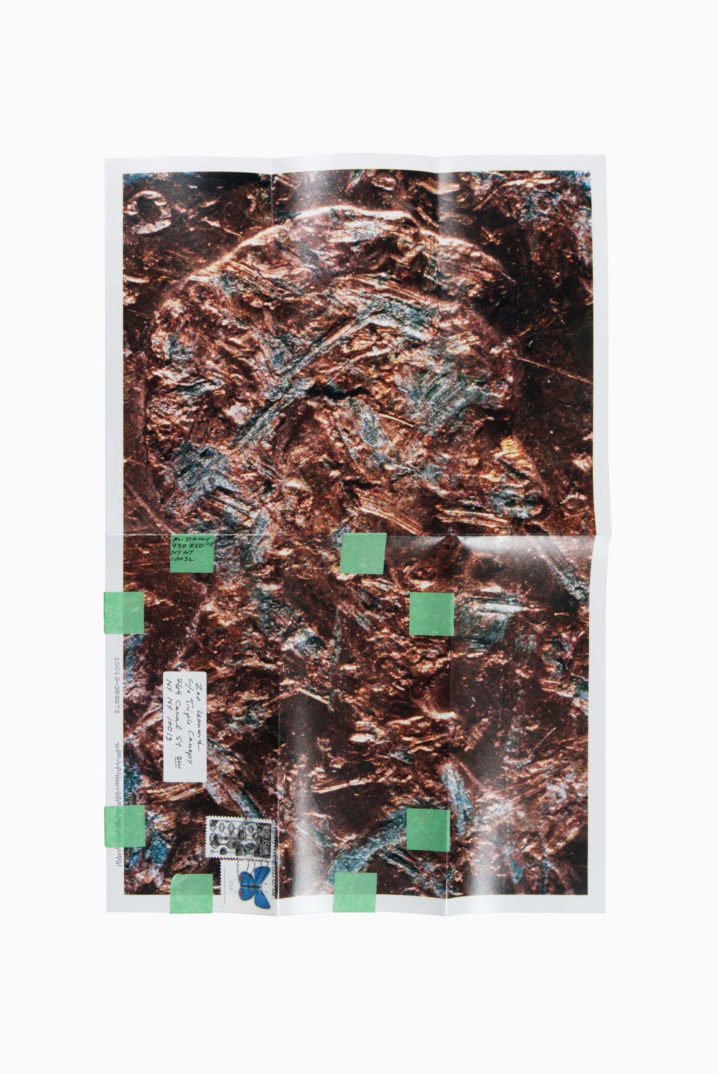 Copperhead No. 404, 1990/2025 by Moyra Davey