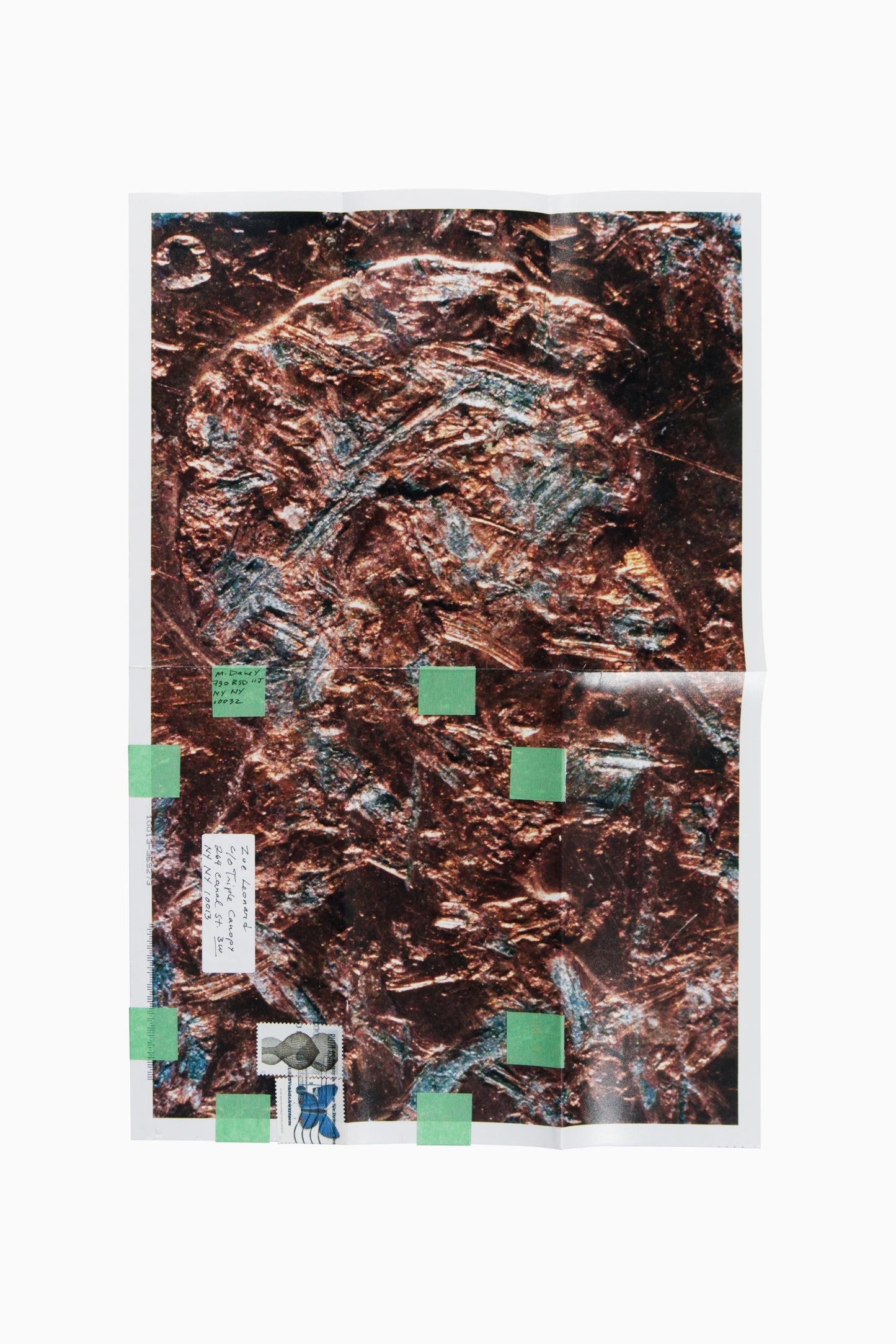 Copperhead No. 404, 1990/2025 by Moyra Davey