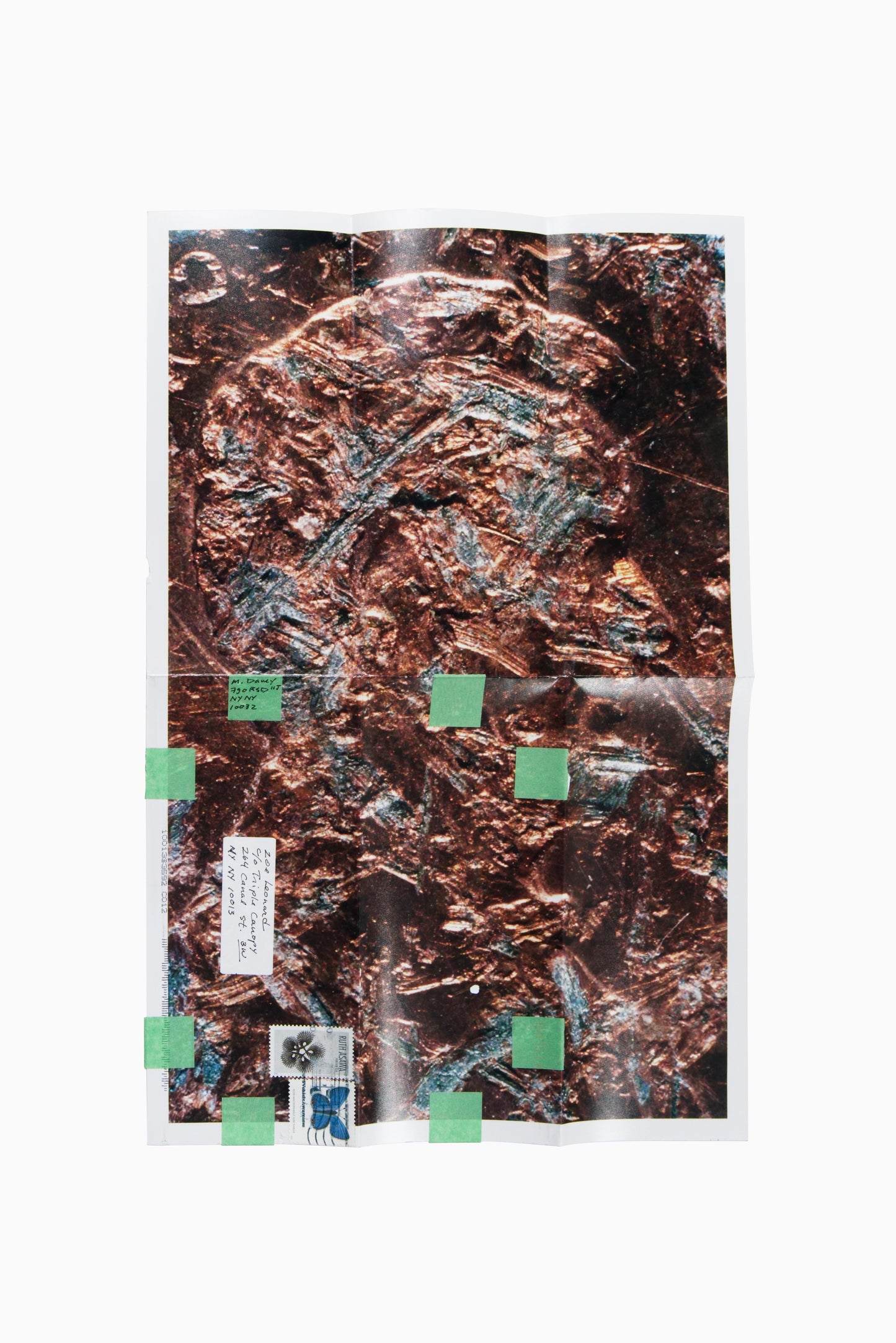 Copperhead No. 404, 1990/2025 by Moyra Davey