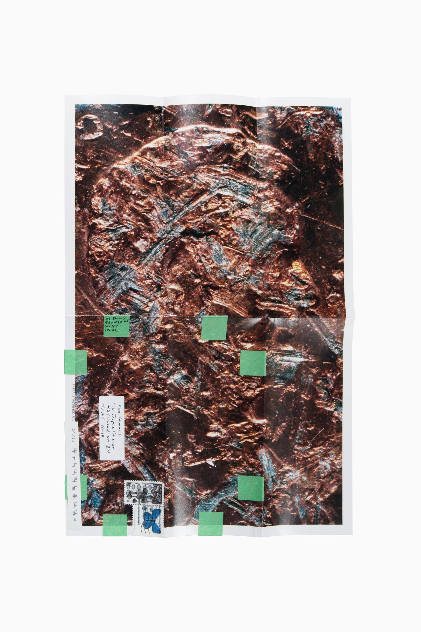 Copperhead No. 404, 1990/2025 by Moyra Davey