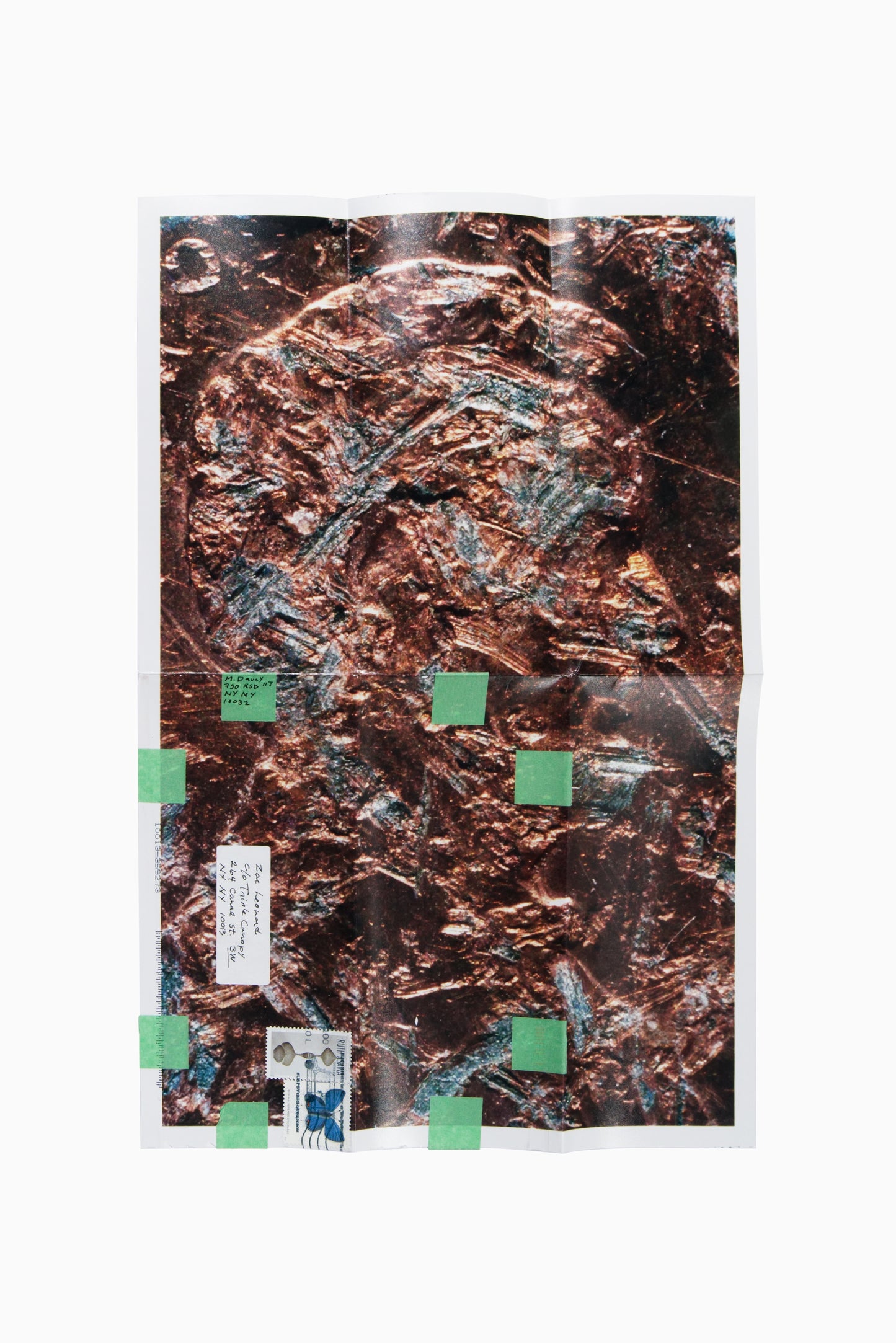 Copperhead No. 404, 1990/2025 by Moyra Davey