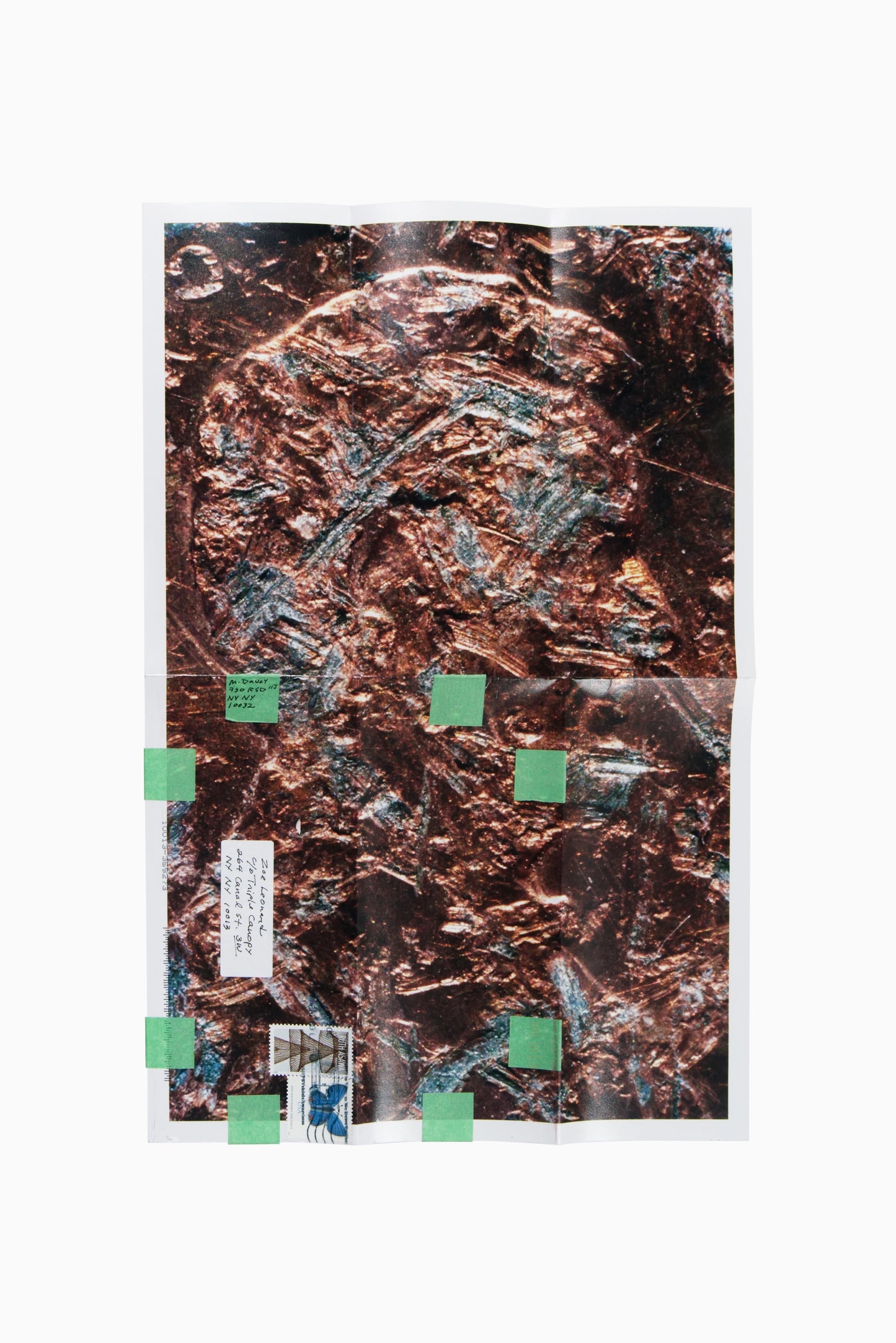 Copperhead No. 404, 1990/2025 by Moyra Davey