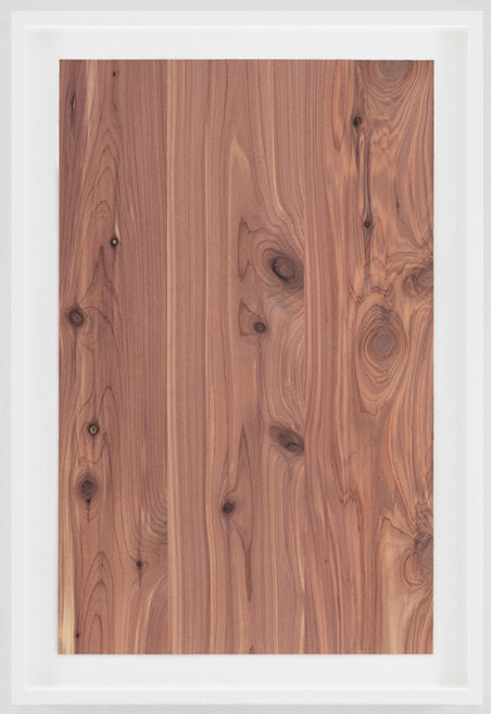 Untitled (Juniper Veneer), 2013 by Virginia Overton