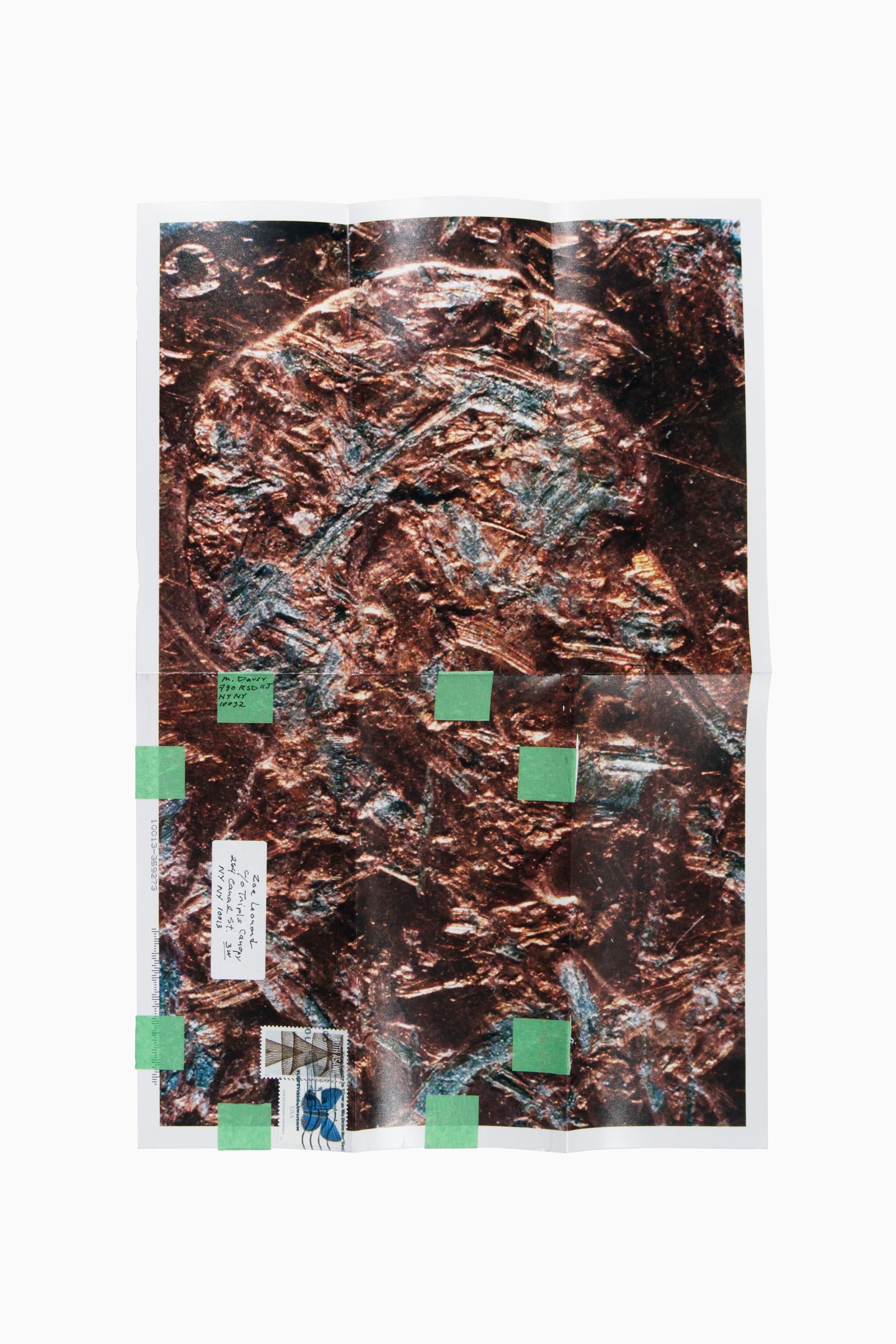 Copperhead No. 404, 1990/2025 by Moyra Davey
