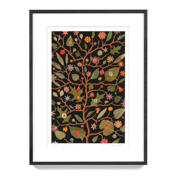 Fred-Tomaselli-Edition-
